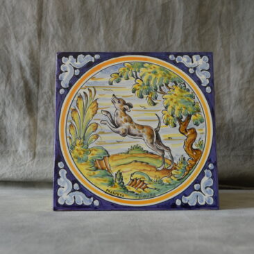 azulejo montería